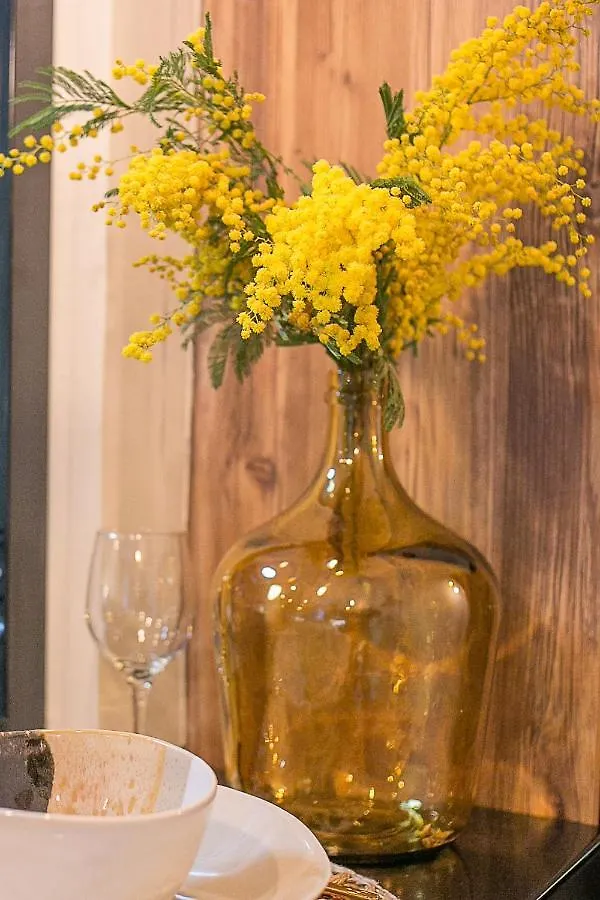 GMimosa Séjournez dans un esprit Boutique Hotel Marseille Appartement